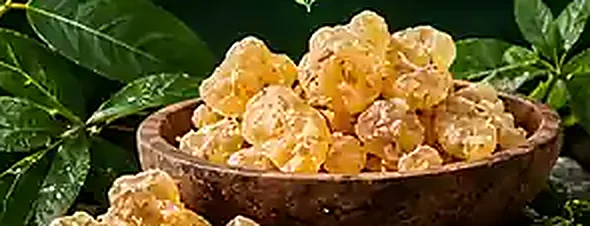 Boswellia Extract